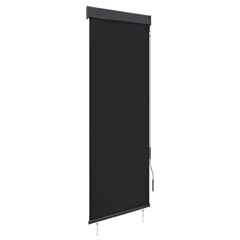 Jaluzea tip rulou de exterior, antracit, 60 x 250 cm