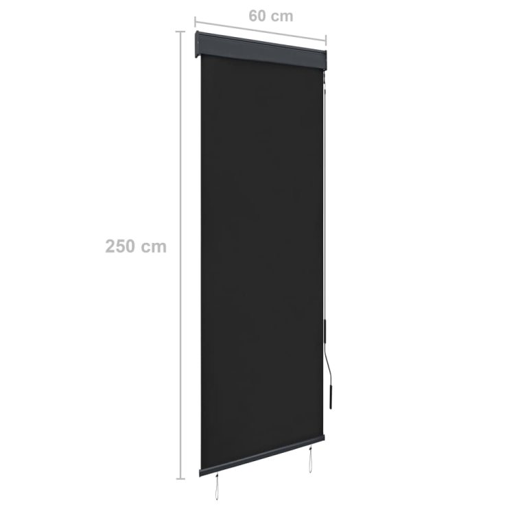 Jaluzea tip rulou de exterior, antracit, 60 x 250 cm