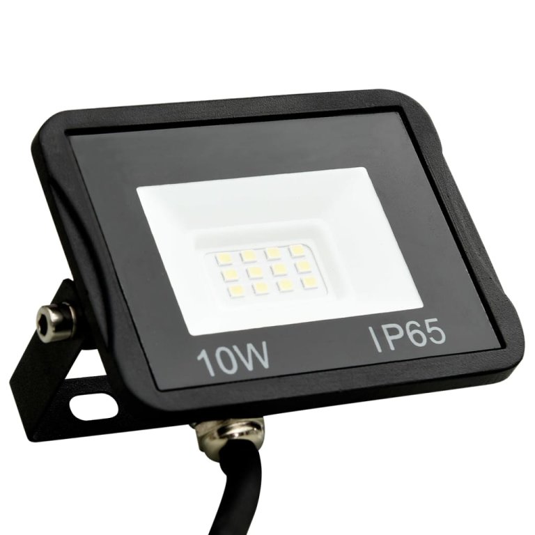 Proiectoare cu LED, 10 W, 2 buc., alb rece