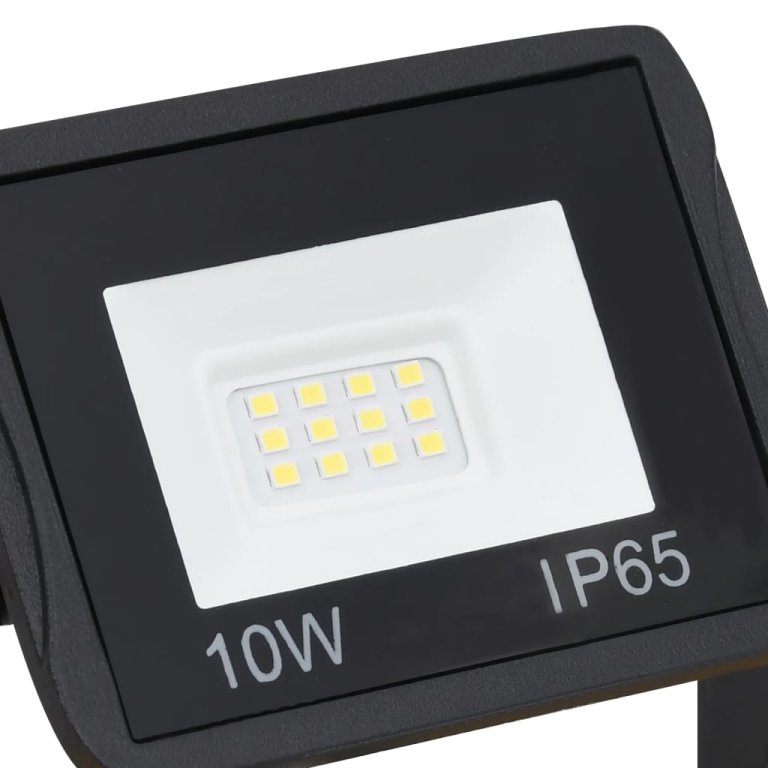 Proiector cu LED și mâner, 2x10 W, alb rece