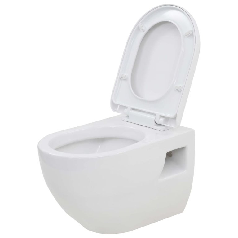 Toaletă suspendată cu rezervor WC ascuns, alb, ceramică