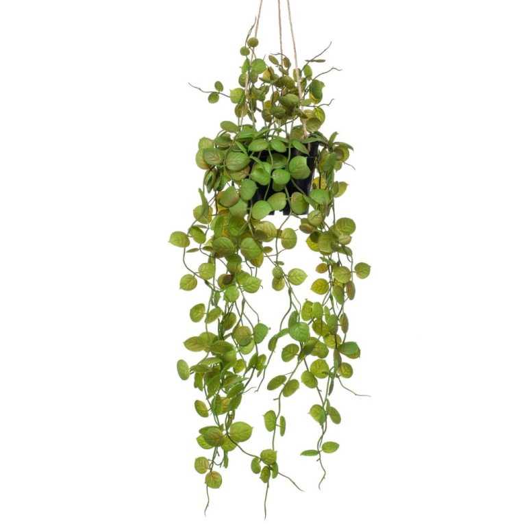 Emerald Tufă suspendată artificială Ceropegia în ghiveci, 50 cm