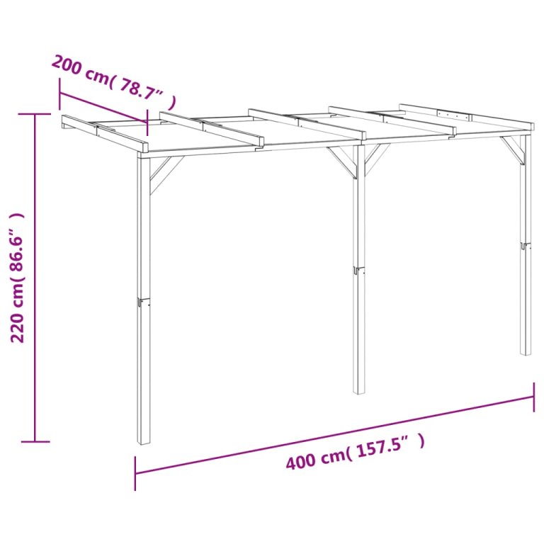 Pergolă de perete, 2 x 4 x 2,2 m, lemn