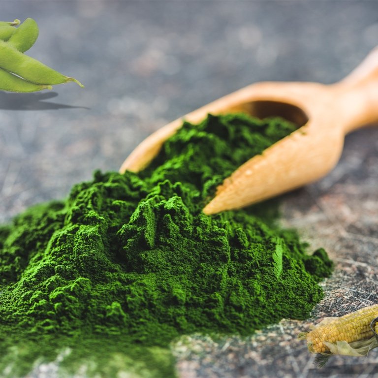 Doza Verde - chlorella Chlorella – Eliminarea metalelor grele și detoxifiere celulară